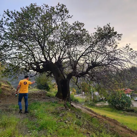 Togo Iztuzu Stonehouse-5 Bogazagzi